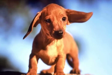 1600x1200   Page 430