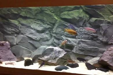 NEW 3D BACKGROUND REVIEW YOUR FEEDBACK NEEDED YouTube