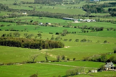 Iphone 4 nature wallpaper 04_6268 640x960.jpg