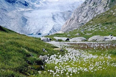 iPhone 4 640 X 960 Switzerland Wallpapers And Backgrounds