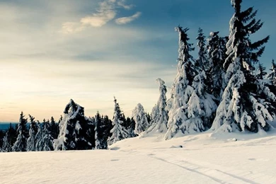 iPhone 4 640 X 960 Snowy Mountain Top Wallpapers And Backgrounds ...