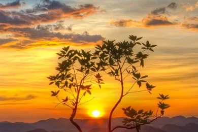 Nature, Mountains, Lake, Tree, Sun, Morning iPhone Wallpapers ...