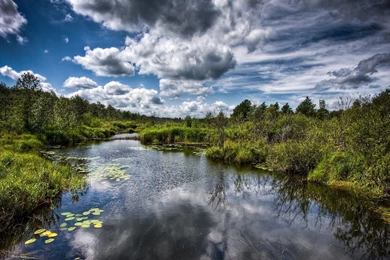 Sweetcouple: High Res Nature Wallpapers