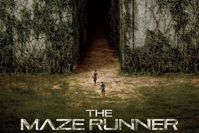 The maze runner 2014 movie wallpaper hd 1080p 1920x1080.jpg