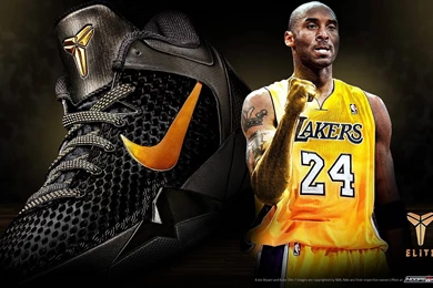 Nba Wallpapers Hd 2015 Lakers Player