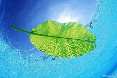 Free Wallpapers   Free Nature Wallpapers   Clear Water And Blue Sky ...