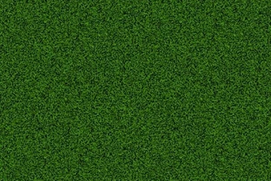 Green Grass Backgrounds Two