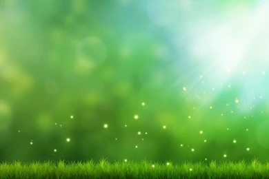 Green Grass, Sparks Wallpapers And Images   Wallpapers, Pictures ...