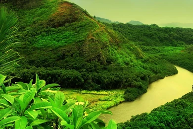 Simple World Wallpaper: Green Nature Wallpapers For Desktop