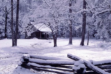 Winter Day Wallpapers 2 Crazy Frankenstein