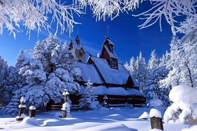 Winter Wallpapers Snow Wallpapers Nature Winter Wallpapers High ...