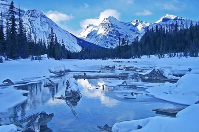 Winter Park Wallpapers   Crazy Frankenstein