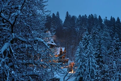 Peles Castle Romania, Winter HD Desktop Wallpapers : Widescreen ...