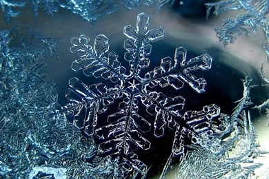 Download Wallpapers 1024x768 Snowflakes, Shapes, Patterns, Ice ...