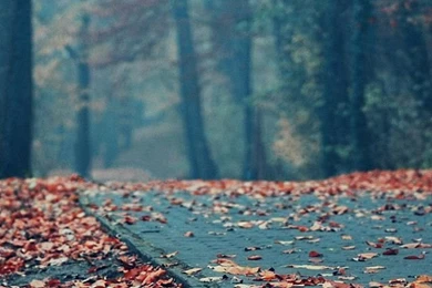 iPhone 5 Nature Wallpapers