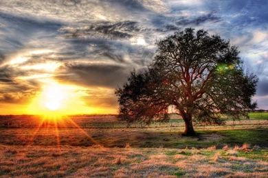Download Wallpapers HDR Sunset On A Texas Farm (1920 X 1080 HDTV ...