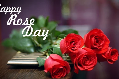 Rose Day Wallpapers