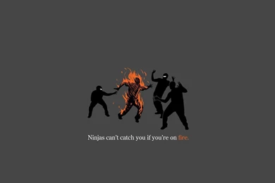 Ninjas Can't Catch You Wallpapers