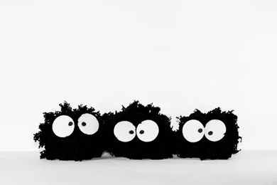 1440x900 Funny Creatures Wallpapers