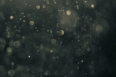 Wallpapers For iPhone 5   Find A Wallpaper, Backgrounds Or Lock ...