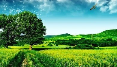 Wallpapers For PC Desktop: Live Wallpapers For Desktop