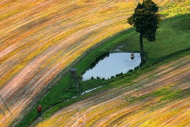 Free PC Backgrounds 2015 Landscape Firms Http://www.yoummisr.com ...