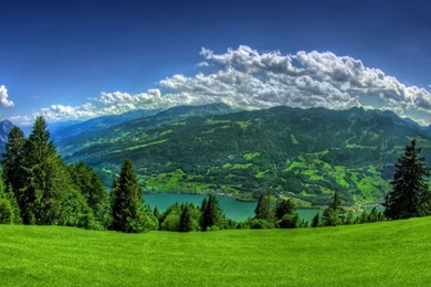 1024x768 Nature Desktop PC And Mac Wallpapers