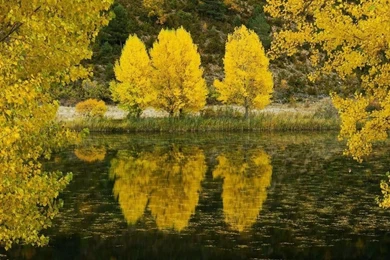 Free Wallpapers Free Nature Wallpapers HD Landscape 5 Wallpapers ...