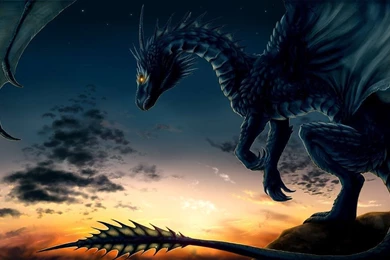 Free Download Dragons HD Resolutions Pictures, HQ Backgrounds