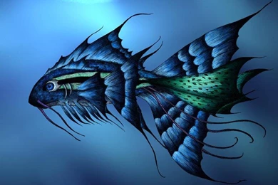 Gold Fish Wallpaper,all Fish Hd Wallpaper,beautiful Fish Wallpapers ...