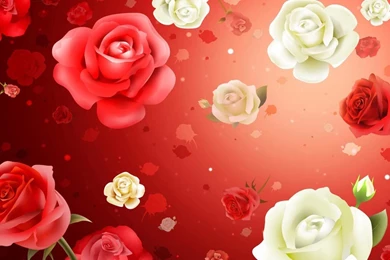 Roses_flowers_1366x768_hd_laptop.jpg