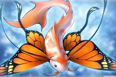 Fish Butterfly HD Desktop Wallpapers : Widescreen : High Definition ...