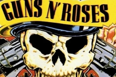 Download Wallpapers 1080x1920 Guns N Roses, Revolvers, Skull ...