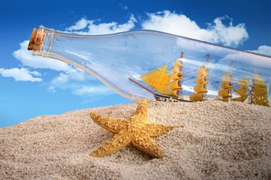 Star Fish HD Wallpapers