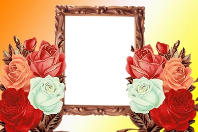 Backgrounds Archives HD Wallpapers