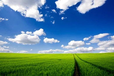 Top 1024x600 Wallpaper Images For Pinterest