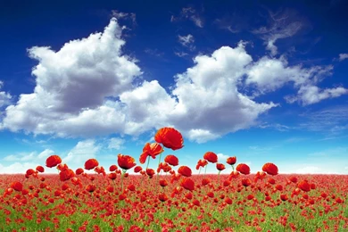 Windows Xp Desktop Backgrounds   Your HD Wallpapers