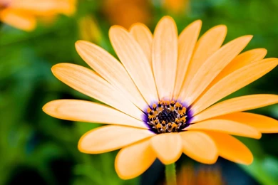 HD Wallpapers Source   Page 441 Of 489   100% Quality HD Desktop ...