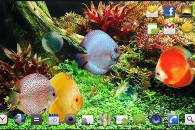 Deep Water Fish Live Wallpapers Download   Deep Water Fish Live ...