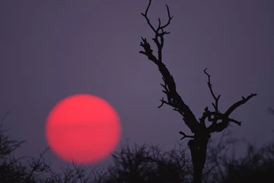 Desktop Wallpapers · Gallery · HD Notebook · Desert Sunset Laptop ...