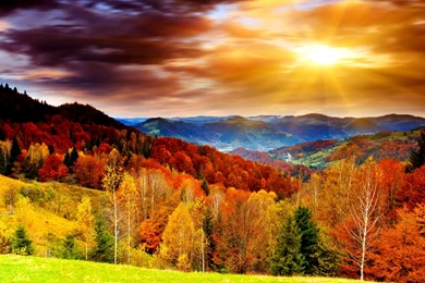 Cool Colorful 3D Wallpapers   Wallpaper.