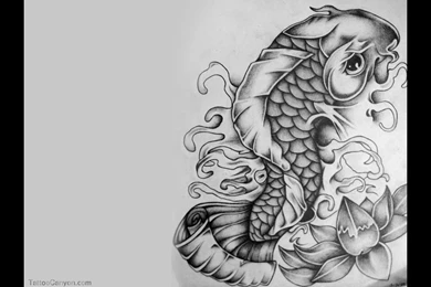 17271 Koi Fish Tattoo Wallpapers Tattoo Design 1920×1080 ...