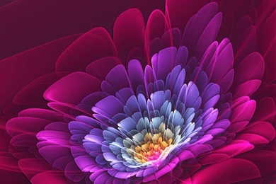 Full HD Wallpapers + Fractals, Red, Flowers
