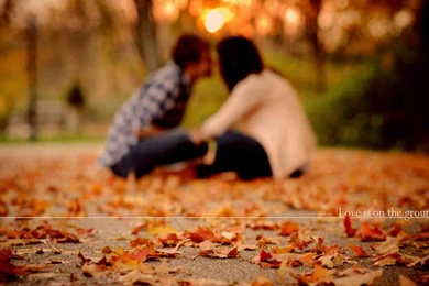 Love Is On The Ground Hd Wallpapers 1080p