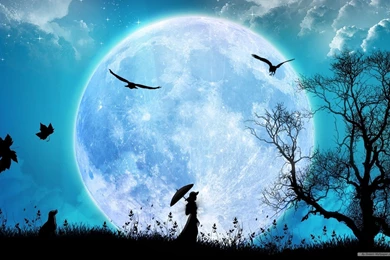 Desktop 3D Wallpapers