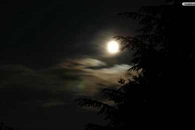 YouWall   Dark Night Wallpapers   Wallpaper,wallpapers,free ...