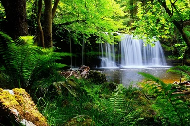 Hd Nature Wallpapers, Landscape, Green, Cute Desktop Images, Mac ...