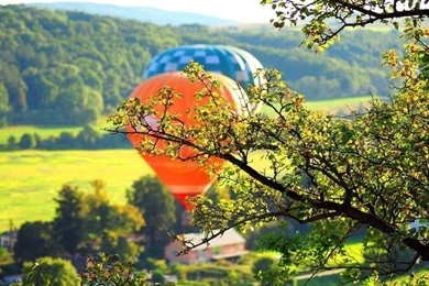 Summer Hot Air Balloons Wallpapers HD 2560x1440   HD Wallpapers ...