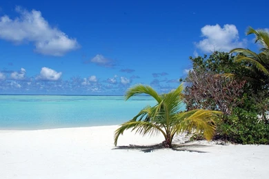 1366x768 Maldives White Beach Wallpapers