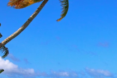 Sony Xperia Z1, ZL, Z, Samsung Galaxy S4, HTC One Maldives ...